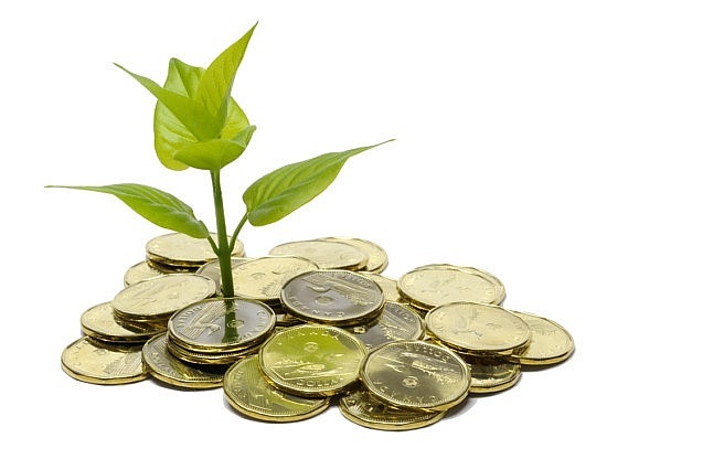 12 doanh nghiệp sắp chốt quyền trả cổ tức bằng tiền, cao nhất 88%