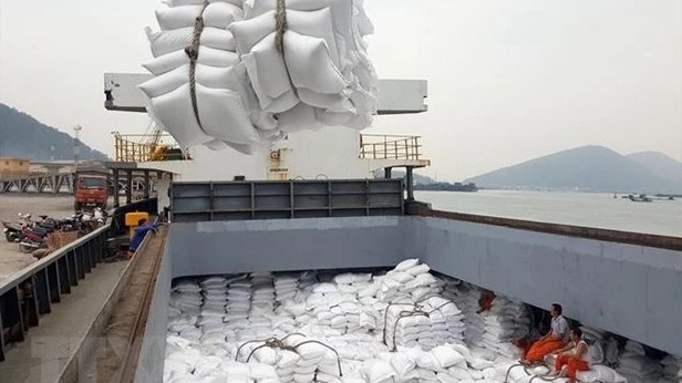 Giá gạo Việt hồi phục, nền kinh tế lớn thứ 2 thế giới bất ngờ tăng nhập khẩu