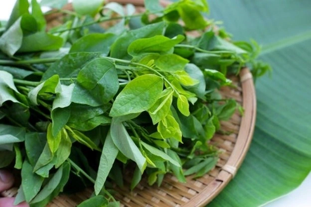 Loại rau được ví như 'thần dược xanh': Sẵn ở chợ Việt, giá cực rẻ, nhiều người ăn hàng ngày mà không biết công dụng