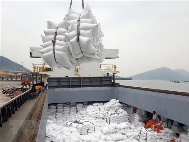 Giá gạo Việt hồi phục, nền kinh tế lớn thứ 2 thế giới bất ngờ tăng nhập khẩu