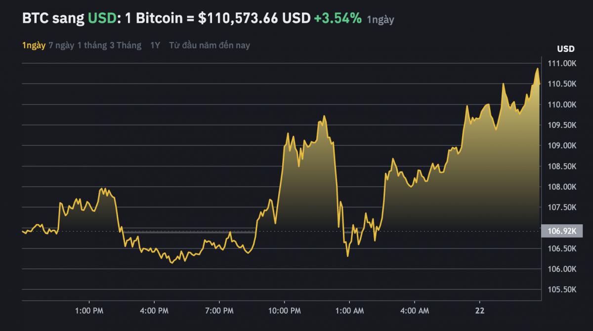 Giá Bitcoin phá đỉnh lịch sử 110.000 USD, chuyện gì đang xảy ra?