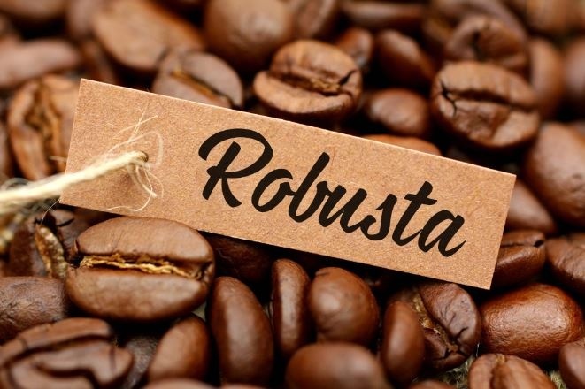 Giá cà phê tiếp tục lao dốc: Robusta mất giá, Việt Nam nguy cơ mất ngôi vương vào tay Brazil