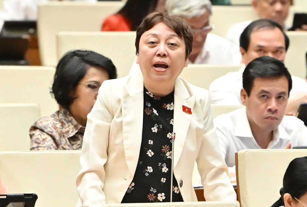 Đại biểu Quốc hội: 'Thanh tra đi đến đâu, hàng hóa bị giấu sạch đến đó'