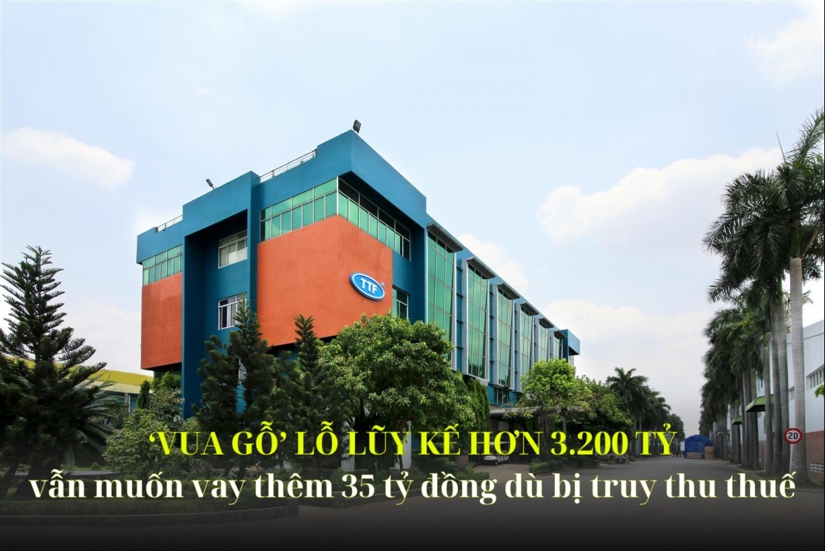 ‘Vua gỗ’ lỗ lũy kế hơn 3.200 tỷ, nợ vay vượt 130% vốn, vẫn muốn vay thêm 35 tỷ đồng dù bị truy thu thuế