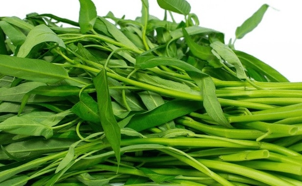 Nông dân ở Cần Thơ rủ cả xóm trồng ‘nhân sâm của người nghèo’: Thu hoạch đến đâu hết sạch đến đó, xung quanh đều khấm khá