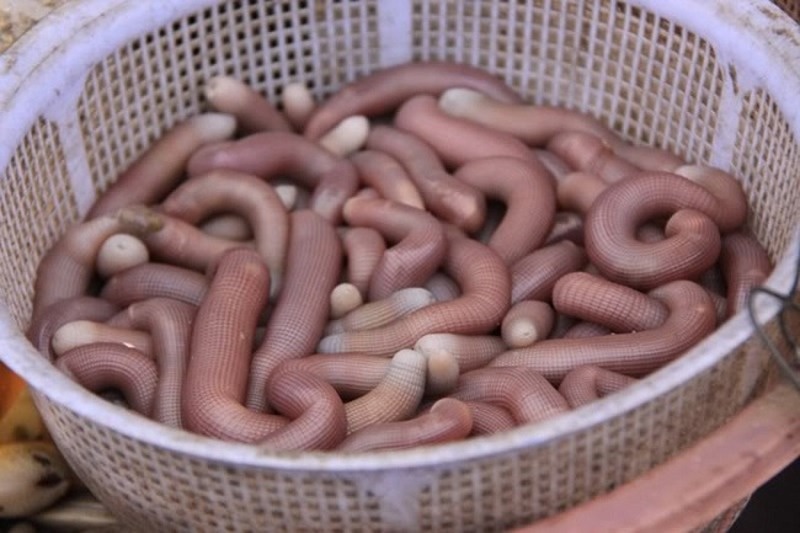 Một đặc sản mà người dân Quảng Ninh từng ăn phát ngán nay thành 'mì chính nhà giàu', giá tới 10 triệu/kg