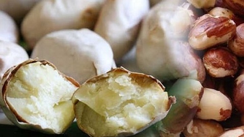 Thứ hạt người Việt Nam thường vứt bỏ nay thành đặc sản giá khồng hề rẻ, được thị trường khó tính nhất thế giới ưa chuộng