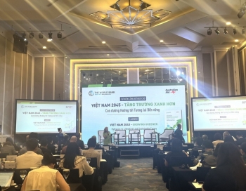 Ngoài tăng trưởng GDP, Việt Nam cần gì để trở thành quốc gia thu nhập cao vào năm 2045?
