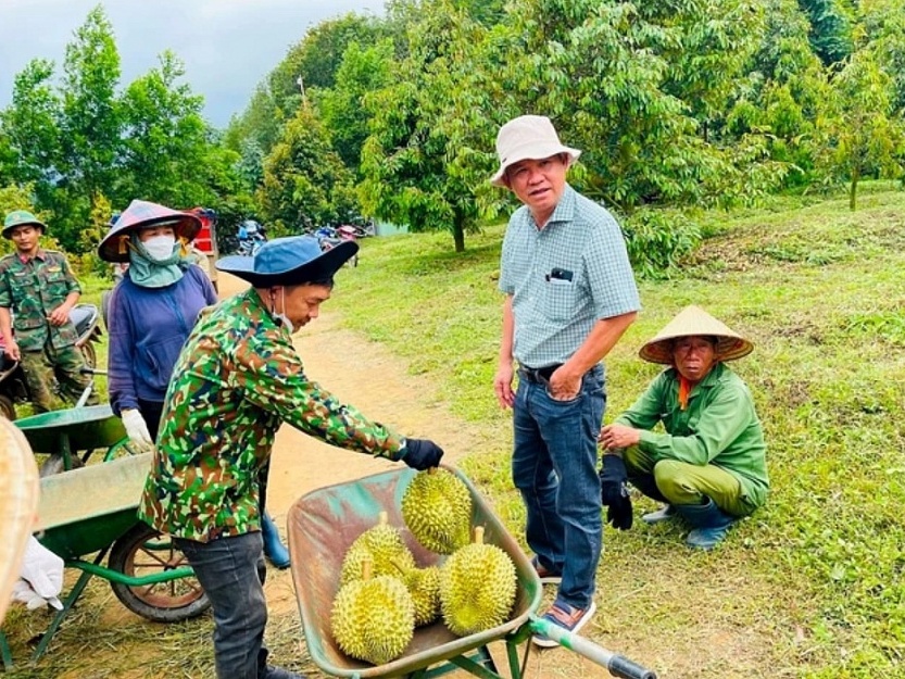 Sở hữu 2.000ha loại cây siêu lợi nhuận, Hoàng Anh Gia Lai (HAGL) của bầu Đức đón tin vui từ Thủ tướng