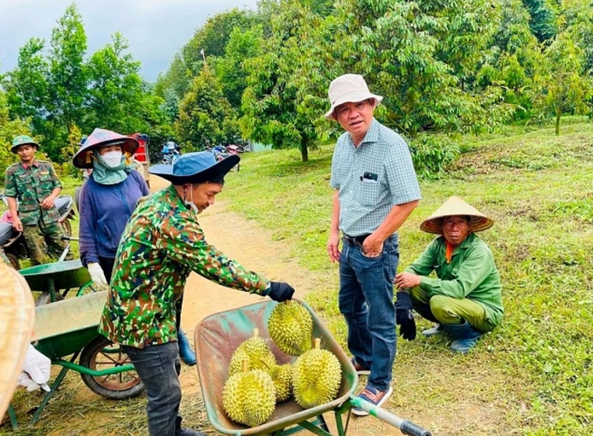 Sở hữu 2.000ha loại cây siêu lợi nhuận, Hoàng Anh Gia Lai (HAGL) của bầu Đức đón tin vui từ Thủ tướng