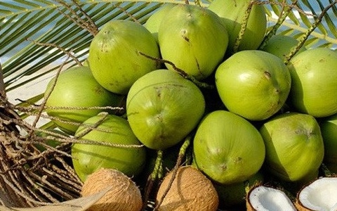 Trái cây toàn năng của Việt Nam tăng giá kỷ lục, Mỹ và Trung Quốc đổ xô thu mua