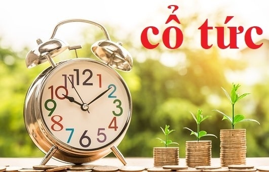 Lãi gấp 8 lần cùng kỳ, một doanh nghiệp logistics chốt quyền nhận cổ tức tỷ lệ 15%