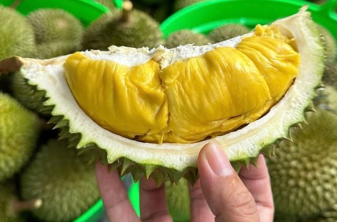 Sầu riêng Việt Nam tụt hạng xuất khẩu, Thủ tướng chỉ đạo 'giải cứu' toàn diện ngành hàng tỷ đô