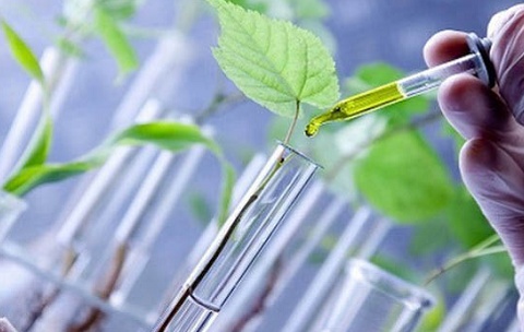 3 ngành học 'thầm lặng' nhưng đầy triển vọng, mức lương hấp dẫn, cơ hội việc làm rộng mở
