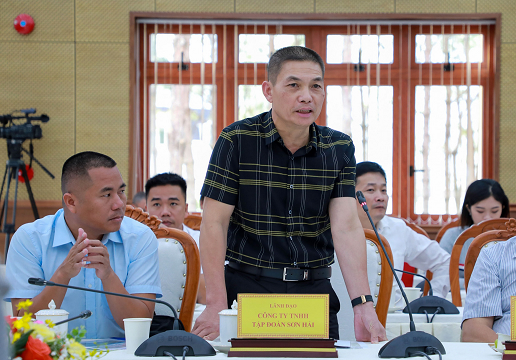 Tập đoàn Sơn Hải có tiềm lực đến đâu?
