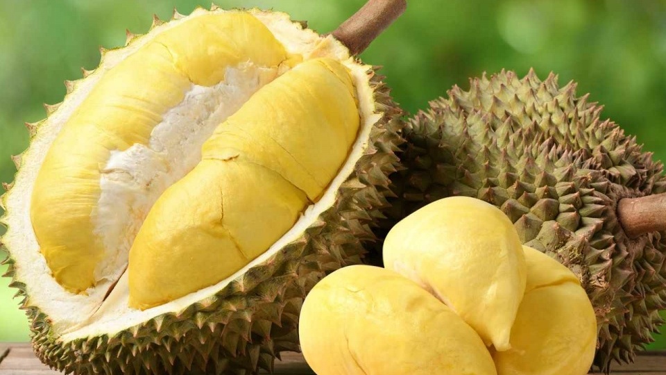 Giải pháp đưa sầu riêng sớm trở lại đường đua xuất khẩu