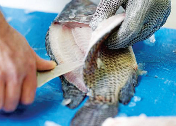 Loại cá xưa đầy 'chẳng ai thèm', nay phơi khô thành đặc sản 200.000 đồng/kg, xuất ngoại đều đều