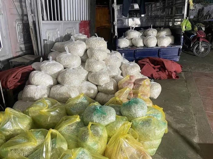 Vạch trần 2 cơ sở sản xuất gần 350 tấn giá đỗ 'ngậm độc' tại Lào Cai
