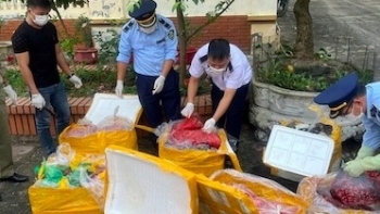 Kho lạnh chứa hơn 25 tấn mực, sách bò, chân gà hôi thối ở Quảng Ninh