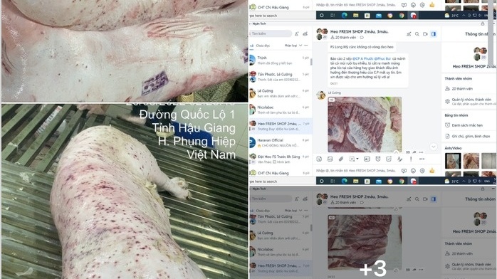 Vụ C.P. Việt Nam bị người tự xưng nhân viên ‘tố’ bán thịt heo bệnh, Chủ tịch UBND Sóc Trăng đưa ra chỉ đạo nóng