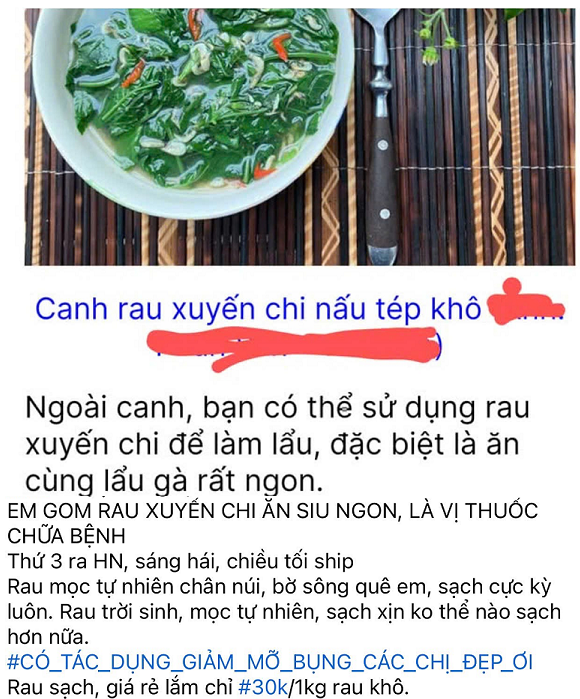 Từng mọc hoang không ai hái, loại cây này nay 'lên ngôi' thành đặc sản được săn lùng giá cao ngỡ ngàng