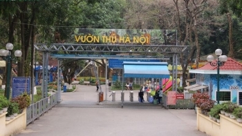 Là vườn thú duy nhất tại Hà Nội, Thủ Lệ 'hốt bạc' gần 48 tỷ nhờ bán vé vào cổng