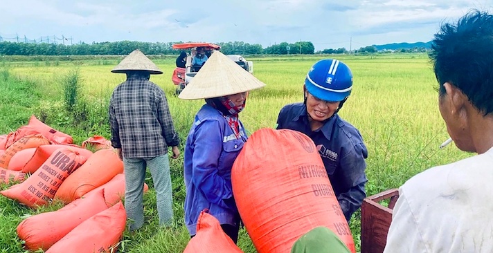 Tại sao nông dân Cẩm Bình phải giấu lúa trong nhà?