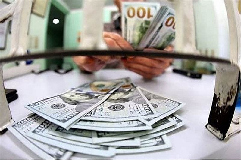 Tỷ giá trung tâm lần đầu chạm mức cao kỷ lục 25.000 VND/USD