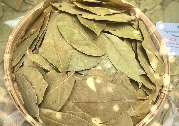 Loại lá dân dã của Việt Nam bất ngờ được săn lùng với giá đắt đỏ: Xuất khẩu thu về gần 600.000 USD, là dược liệu quý hiếm thế giới ít có