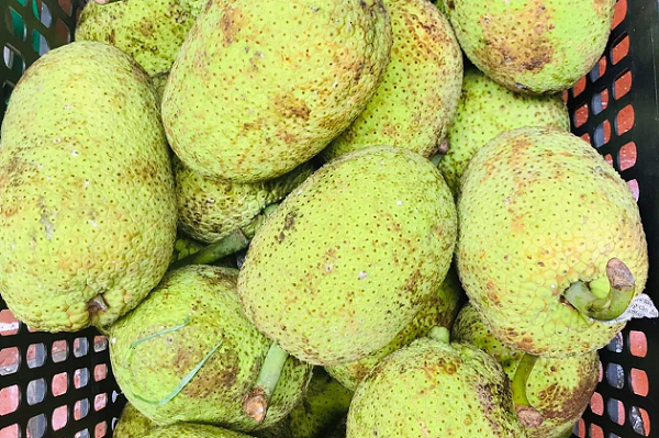 Loại quả từng bị lãng quên ở quê nay thành đặc sản chị em thành phố săn lùng, giá tới 70.000 đồng/ kg