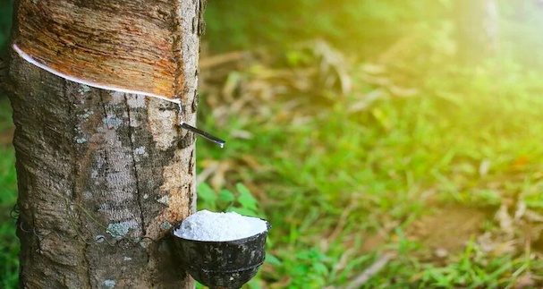 Thị trường tỷ dân nghiện thứ gì từ Việt Nam đến mức chiếm 99,8% lượng mua?