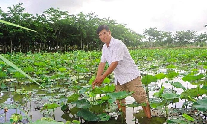 Từ bỏ lúa, nông dân Sóc Trăng trồng thứ ‘nở ra là có tiền’, mỗi ngày thu 10 triệu đồng