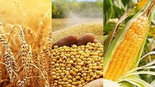 Làm việc với Thượng nghị sĩ, Bộ trưởng cho biết Việt Nam đã giảm thuế suất về 0% với hầu hết các mặt hàng ngô, đậu tương từ Mỹ
