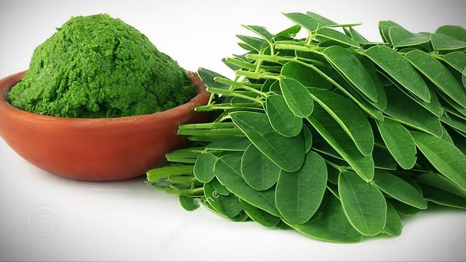 Loại rau bình dân chợ Việt bán 30.000 đồng/kg, công dụng chống oxy hóa ăn đứt trà xanh