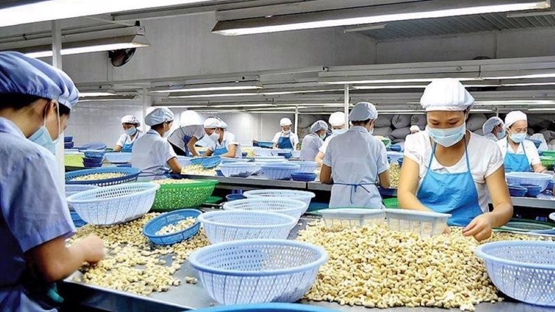 Một mặt hàng Việt Nam được Trung Quốc mê như điếu đổ, muốn sao chép không được, chỉ còn cách tăng cường thu mua
