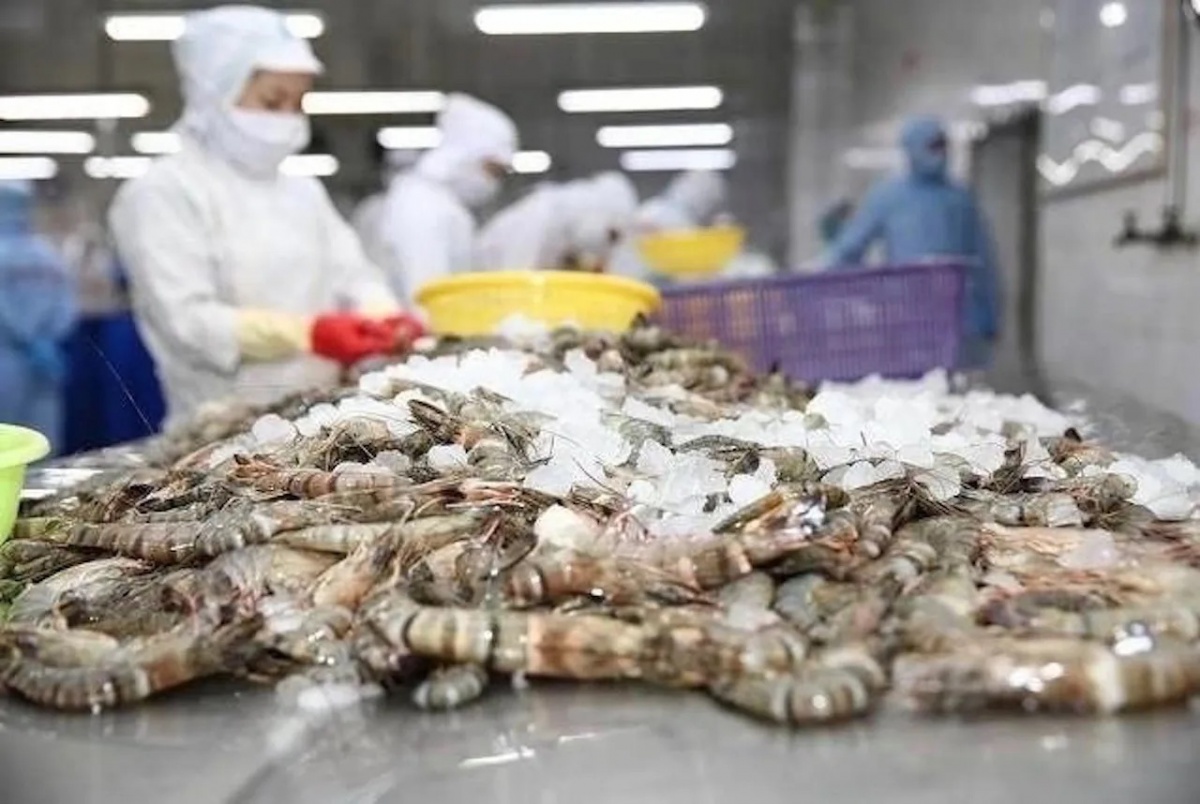 Mặt hàng thuỷ sản mang về cho Việt Nam 1,3 tỷ USD bất ngờ nhận kết luận sơ bộ, bị áp thuế tới 35% tại Mỹ