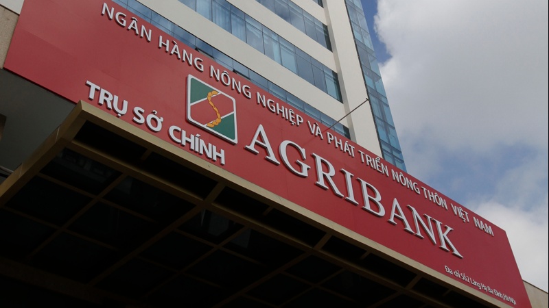 Agribank đấu giá khoản nợ hơn 160 tỷ đồng, thế chấp bằng 3.500 ha rừng keo tại Hòa Bình