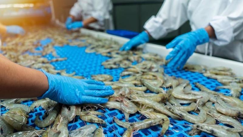 Một mặt hàng của Việt Nam bất ngờ bị Mỹ áp thuế chống bán phá giá lên tới 35%, cao nhất trong 19 năm qua