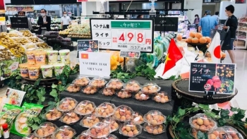 Việt Nam đang vào mùa loại quả ngọt lịm, giá rẻ bèo ở chợ quê, lên kệ Nhật bán hơn 300.000 đồng/kg