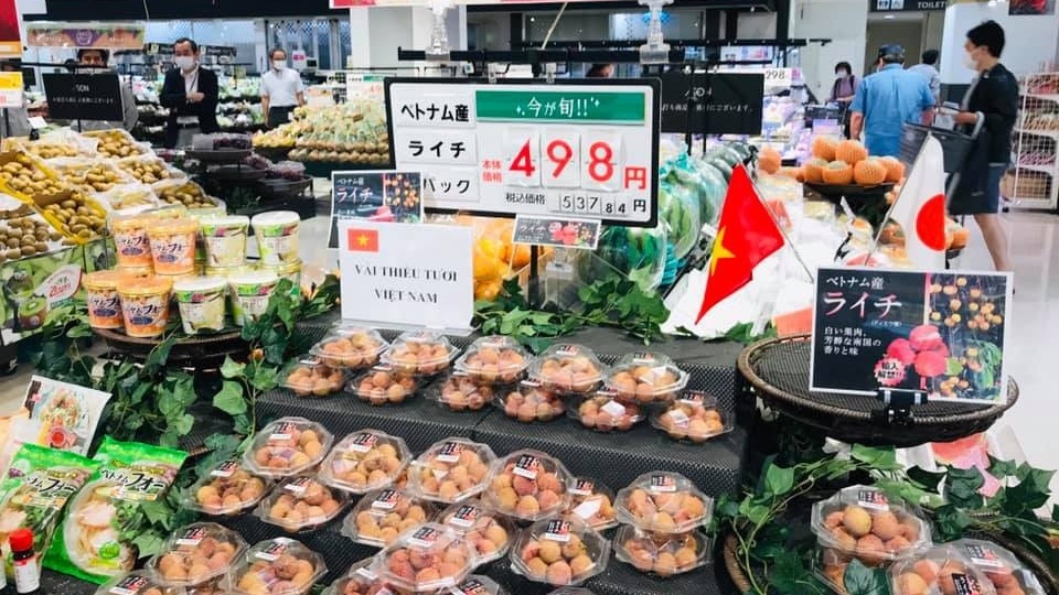 Việt Nam đang vào mùa loại quả ngọt lịm, giá rẻ bèo ở chợ quê, lên kệ Nhật bán hơn 300.000 đồng/kg