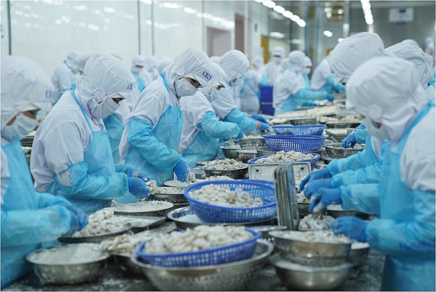 Mỹ bất ngờ áp thuế cao nhất 19 năm với một mặt hàng Việt Nam, chân dung doanh nghiệp duy nhất hưởng mức 0%