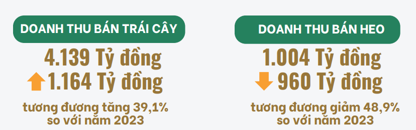 Khi bầu Đức dừng lại, cả ngành chăn nuôi lao về phía trước: HAGL đứng nhìn Dabaco, Hòa Phát hái quả ngọt