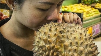 Bịa chuyện ‘sầu riêng tẩm độc’, một người bị xử phạt vì gây ảnh hưởng nghiêm trọng