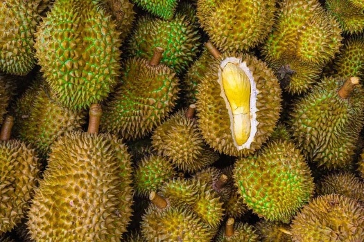 Phía sau hào quang của loại quả mang về hàng tỷ đô cho Việt Nam