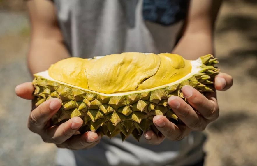 'Vua trái cây' Thái Lan đang trở thành hàng phổ thông tại Trung Quốc, giá lẻ rẻ hơn giá sỉ