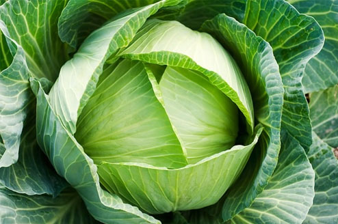 Loại rau giàu vitamin C, 'rẻ bèo' khắp chợ Việt: Cực đắt hàng tại Nhật Bản, giá cao ngỡ ngàng