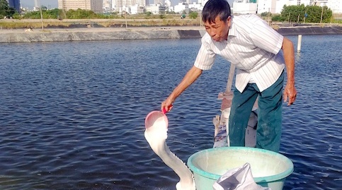 Cụ ông 76 tuổi điều hành đường dây làm giả thức ăn tôm hàng chục tấn