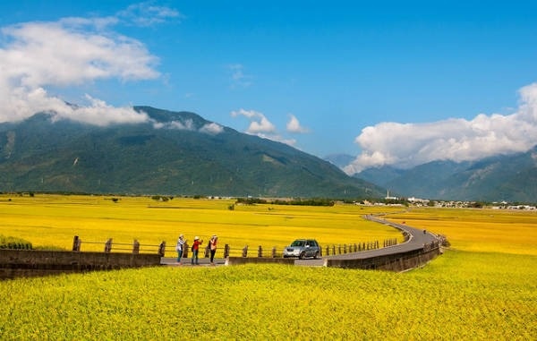 Không phải Thái Lan, Nhật Bản lựa chọn vựa lúa ngay gần Việt Nam để nhập khẩu gạo: Sắp 'chốt đơn' 10.000 tấn, giá bán không hề rẻ