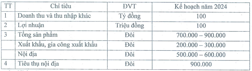 10 năm khốn khó của Giầy Thượng Đình (GTD) và những hồi chuông kiểm toán