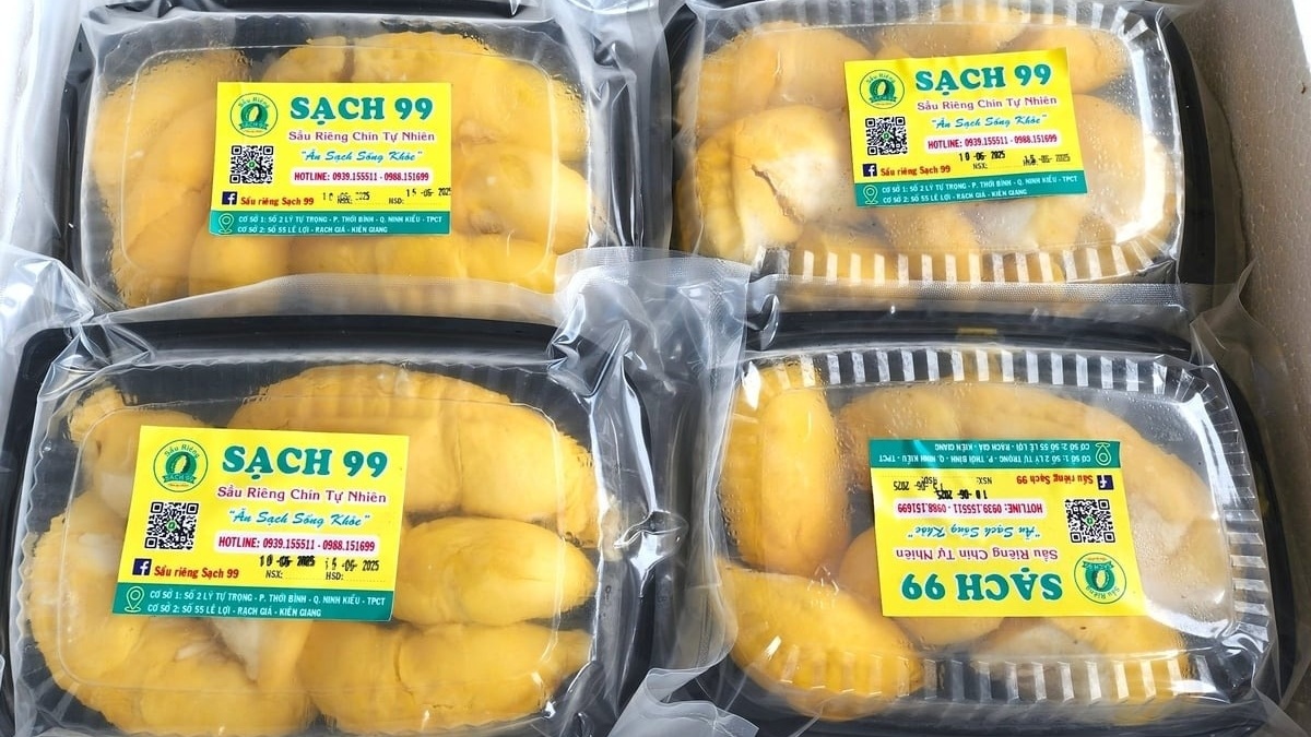Đưa 2 tấn cơm sầu riêng bay thẳng ra Hải Phòng, Cần Thơ giải được bài toán đầu ra